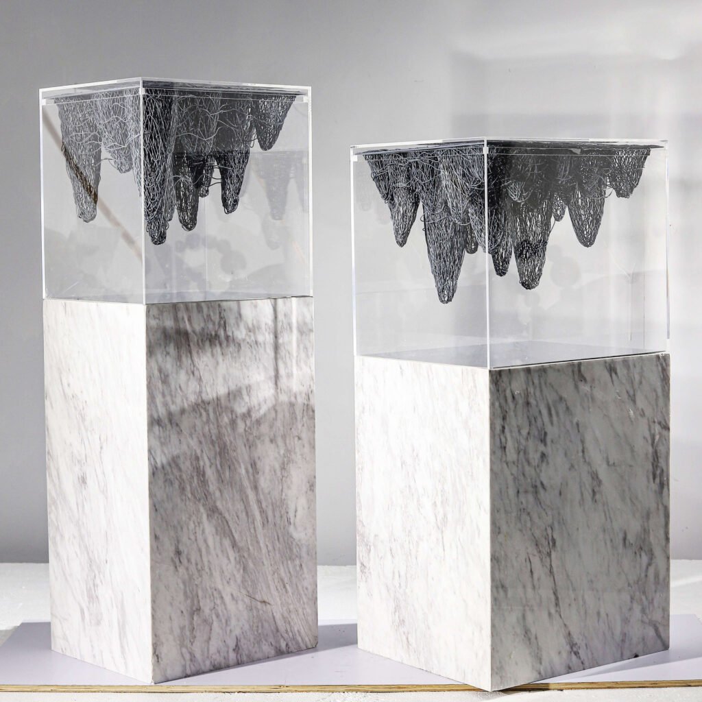acrylic box with sculpture